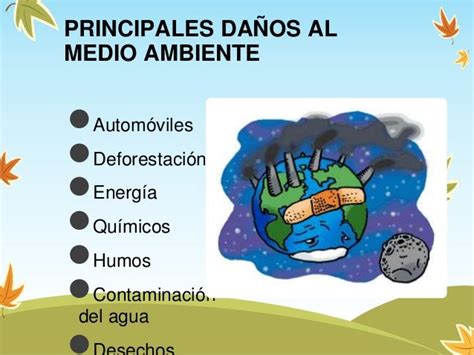 Medio Ambiente Los Principales DaÑos Del Medio Ambiente