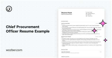 Chief Procurement Officer Resume Example