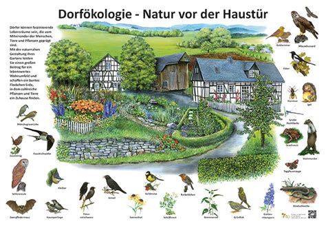 Dorf Kologie Natur Vor Der Haust R Kologie Lehrtafeln Natur Im