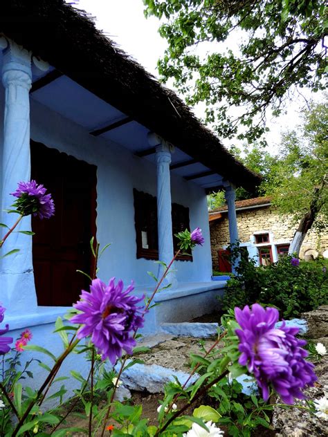 Traditional Peasant House - Butuceni