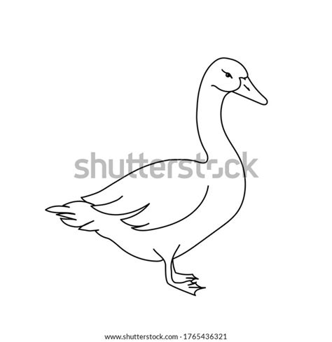 Goose Line Drawing Minimalistic Style Logo Stock Vector Royalty Free