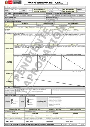 Manual De Registro Materno Perinatal 2023 MANUAL DE REGISTRO Y