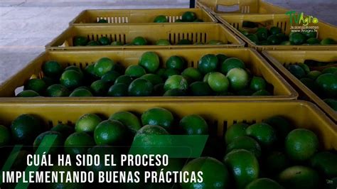 Cuál ha sido el proceso implementando buenas prácticas TvAgro por