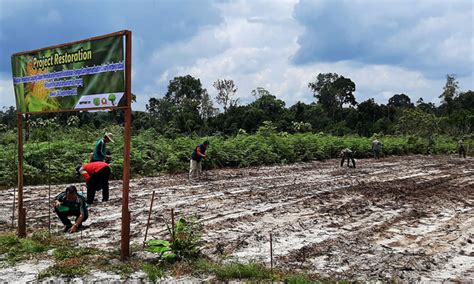 Lahan Bekas Terbakar Itu Dijadikan Areal Pertanian Terpadu