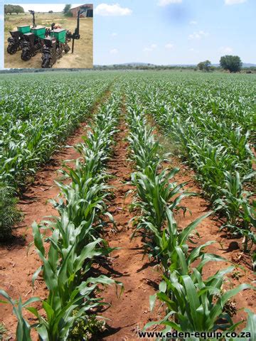 Economy No Till Maize Planters Eden Equip