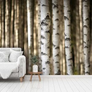 Birch Forest Wall Mural Muraledesign Etsy