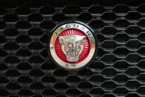 Close-up Photo of a Jaguar Emblem · Free Stock Photo