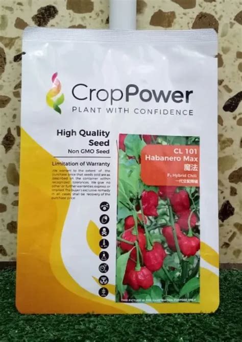 Benih Cili HABANERO MAX Hibrid F1 CROP POWER CL101 Repack 0 4gm 50