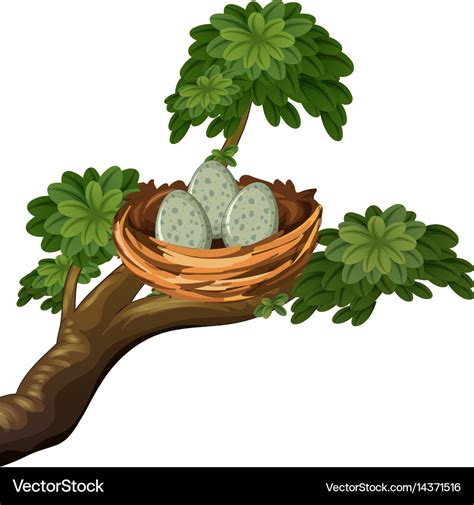 Three Eggs In Bird Nest Royalty Free Vector Image