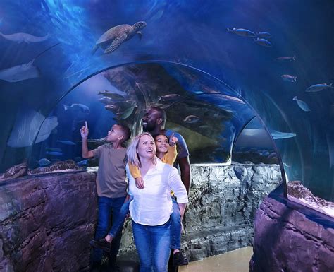 SEA LIFE Weymouth Tickets | SEA LIFE Weymouth Aquarium