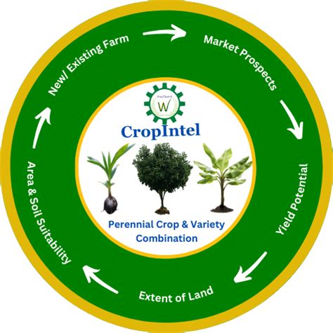 Dr Soil Health Home