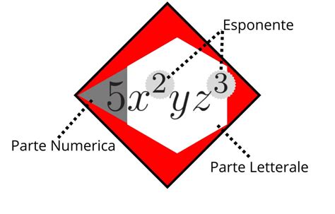 Cosè Un Monomio Una Breve Introduzione E Spiegazione