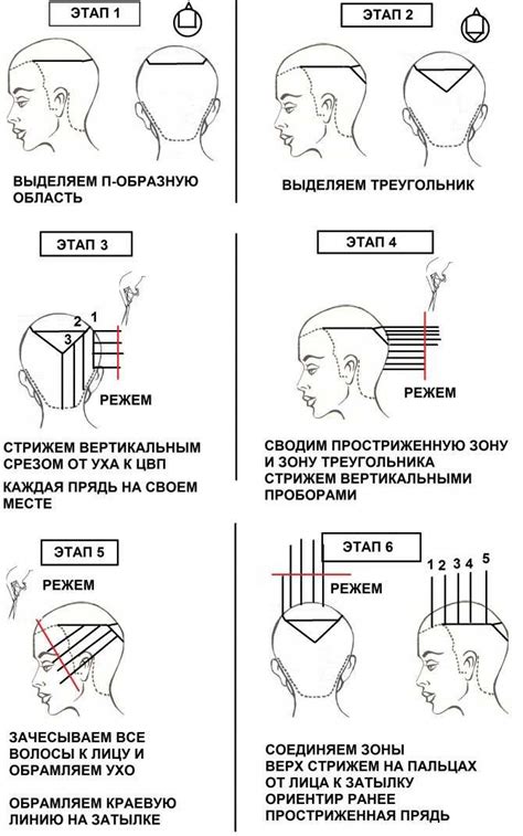 Британка стрижка мужская: фото короткой прически со всех сторон, схема ...