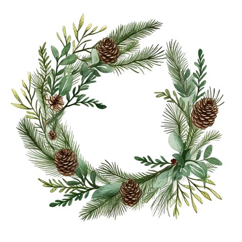 Wreath Of Pine Branches Christmas Wreath Illustration Christmas Wreath