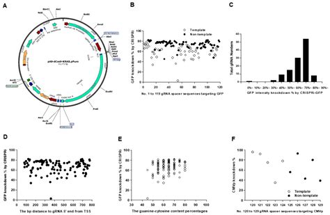 Ijms Free Full Text Up Regulated Expression Of Pro Apoptotic Long Noncoding Rna Lincrna P21