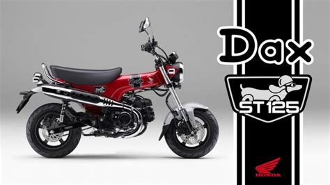 Les Beaux Visuels Du Honda Dax St125 Mini4temps Fr