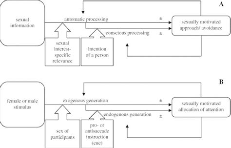 Processing Of Sexual Information A And Saccade Generation As Reaction Download Scientific