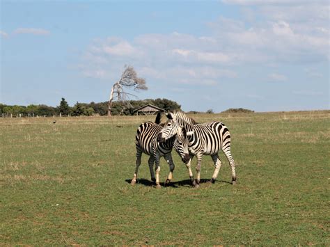 Nacionalni park Brioni: Mali raj za ljubitelje prirode – Jasnina Putovanja