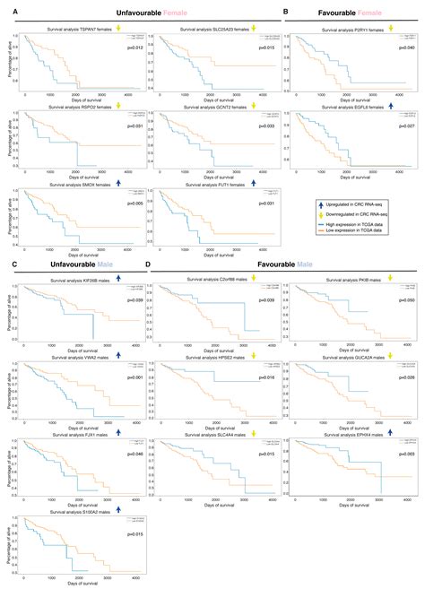 Ijms Free Full Text The Importance Of Sex In The Discovery Of