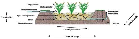 Dise O Y Construcci N De Humedal Artificial Para La Recuperaci N De