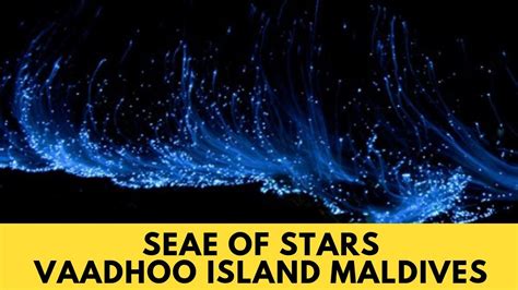 Sea Of Stars On Vaadhoo Island Wallpaper