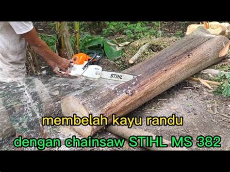 Membelah Kayu Randu Dengan Chainsaw STIHL MS 382 YouTube