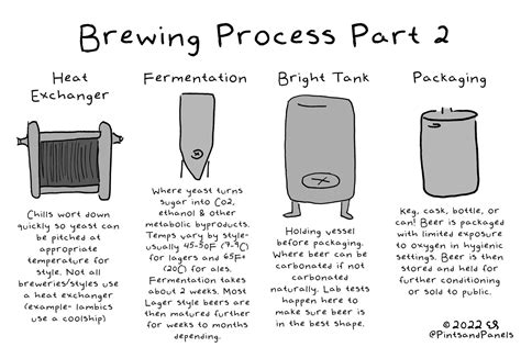 Beer 101- Brewing Process Part 2 — Pints and Panels