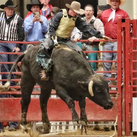 Prca Rodeo Midwest Horse Fair