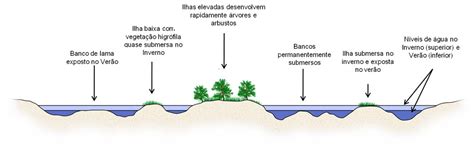 O Que Significa Charco - Charcos - Charcos com Vida