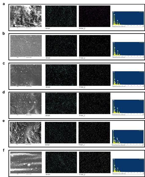 Fig S8 Sem Eds Analysis Results Of The Fractured Surface For The A