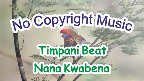 Copyright Free Music Timpani Beat Nana Kwabena Simple Copyright Free Music Youtube