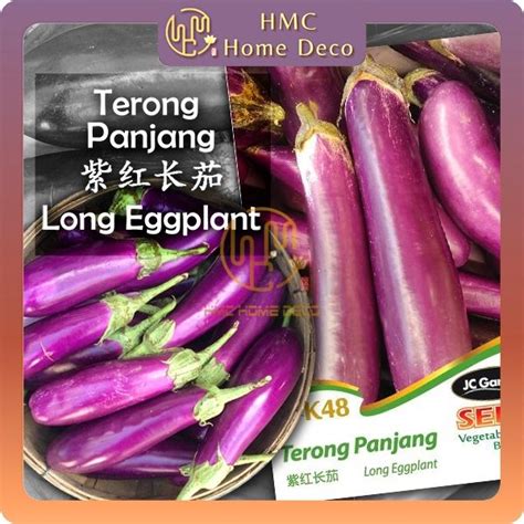 Hmc K Long Eggplant Jc Garden Vegetable Seed Gardening Planting