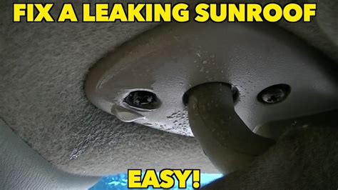 Sunroof Leaking Quick And Easy Fix Youtube