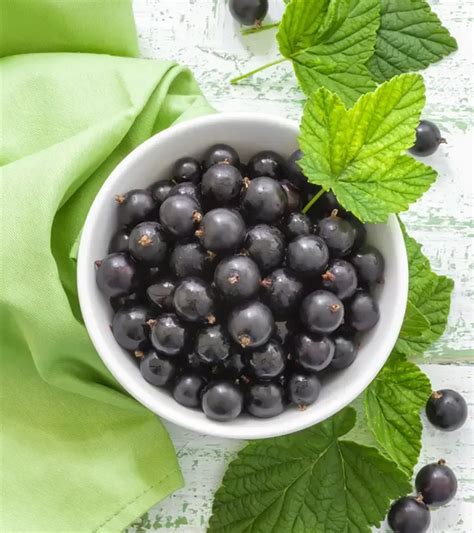 10 Proven Benefits Of Blackcurrants Black Currant Fruit Black Currants Healthy Brain Heart