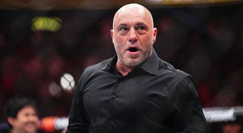 Joe Rogan On How Hans Kim Got His Golden Ticket To Fame Made It Big