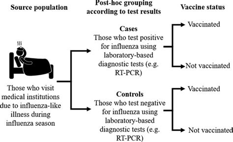 The Effect Of Sex On Responses To Influenza Vaccines Abstract