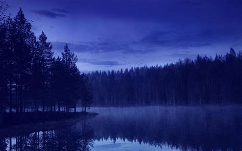 Wallpaper 1920x1200 Px Blue Calm Evening Forest Island