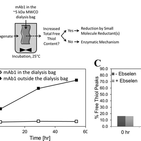 Identification Of Enzymatic Basis For Free Thiol Formation A Dialysis