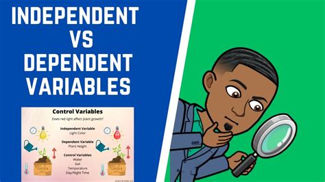 Independent Vs Dependent Variables In Experiments Youtube