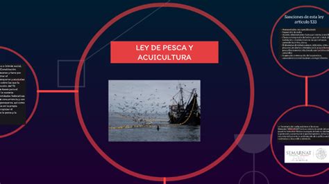 Ley De Pesca Y Acuicultura By Mirna Marquez On Prezi