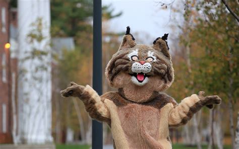 What Does the Bobcat Say? | Bates College