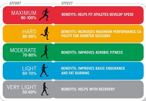 Cardiovascular Endurance Exercises Benefits