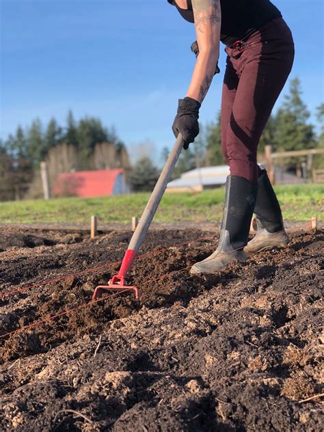 animal hospitals in columbia sc 9