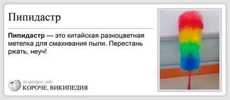 Что такое пипидастры?