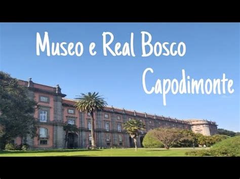 Museo E Real Bosco Di Capodimonte Napoli Youtube