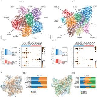 Single Cell Analysis On Additional Nsclc And Crc Samples A Upper