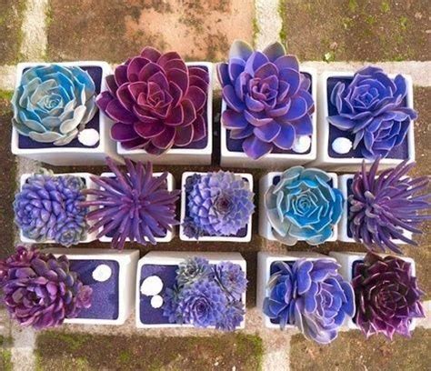 20 Ideas Lindas Originales Y Baratas Para Tu Jardín