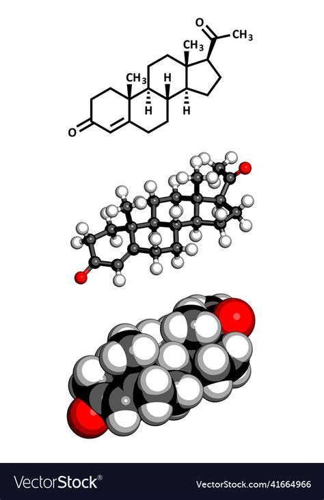 Progesterone Female Sex Hormone Molecular Model Vector Image