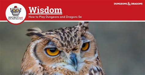 Wisdom - How to Play DnD 5e - RPGBOT