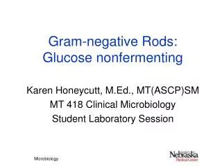 PPT - Gram negative rods PowerPoint Presentation, free download - ID:505308